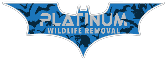 Three Rivers Wildlife Removal