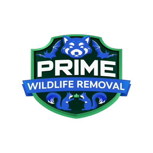 Three Rivers Wildlife Removal